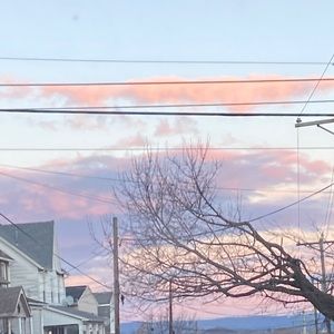 Meet your Posher, Abigail